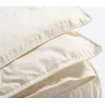 Casa si Gradina - Textile si covoare - Perne si pilote - Pilote - Pilota Lana Pure Wool Single Beige 160X220 - Infinity.ro