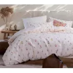 Casa si Gradina - Textile si covoare - Lenjerii de pat - Seturi de lenjerie - Set Plant husa pilota 240X230 + 2 fete perna 52X72 Ecru - Infinity.ro