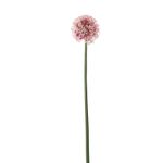 Casa si Gradina - Decoratiuni - Obiecte decorative - Plante artificiale - Planta artificiala Allium Pink 65cm - Infinity.ro