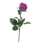 Casa si Gradina - Decoratiuni - Obiecte decorative - Plante artificiale - Planta artificiala Rose Purple 68cm - Infinity.ro