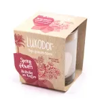 Casa si Gradina - Decoratiuni - Aromaterapie si lumanari - Lumanari si candele - Lumanare parfumata Ambient Line Spring Flowers Luxodor 180Gr - Infinity.ro