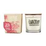 Casa si Gradina - Decoratiuni - Aromaterapie si lumanari - Lumanari si candele - Lumanare parfumata Ambient Line Spring Flowers Luxodor 180Gr - Infinity.ro