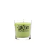 Casa si Gradina - Decoratiuni - Aromaterapie si lumanari - Lumanari si candele - Lumanare parfumata Cocktail Line MentaEL Luxodor 165Gr - Infinity.ro