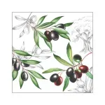 Casa si Gradina - Textile si covoare - Textile bucatarie - Servete si naproane - Servetele masa 33x33cm Olives FSC Mix - Infinity.ro