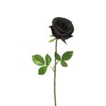 Casa si Gradina - Decoratiuni - Obiecte decorative - Plante artificiale - Planta artificiala Rose Black 47cm - Infinity.ro