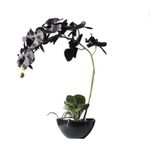 Casa si Gradina - Decoratiuni - Obiecte decorative - Plante artificiale - Planta artificiala Phalaenopsis Real Orchid 48cm - Infinity.ro