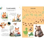 Carti si Birotica - Carti - Carti pentru copii - Activitati extracurriculare - Aventuri la camping - Activitati si abtibilduri - Infinity.ro