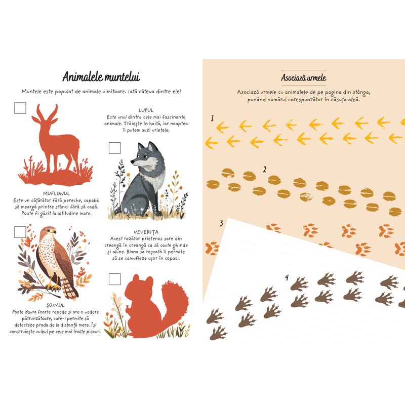 Carti si Birotica - Carti - Carti pentru copii - Activitati extracurriculare - Aventuri la munte - Activitati si abtibilduri - Infinity.ro