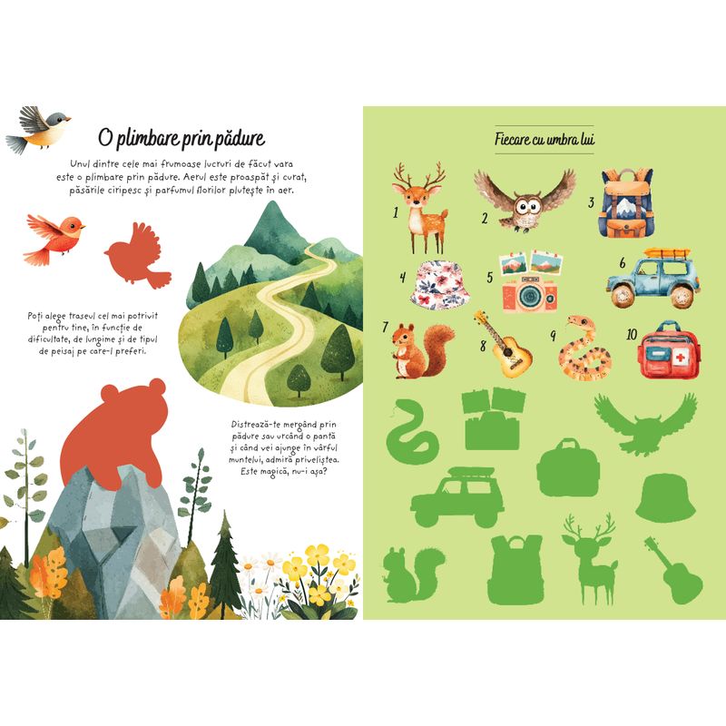 Carti si Birotica - Carti - Carti pentru copii - Activitati extracurriculare - Aventuri la munte - Activitati si abtibilduri - Infinity.ro