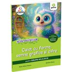 Carti si Birotica - Carti - Carti pentru copii - Activitati extracurriculare - Caiet cu forme, semne grafice si cifre pentru grupa mijlocie - Deac Alina Ileana, Stefan Elena - Infinity.ro