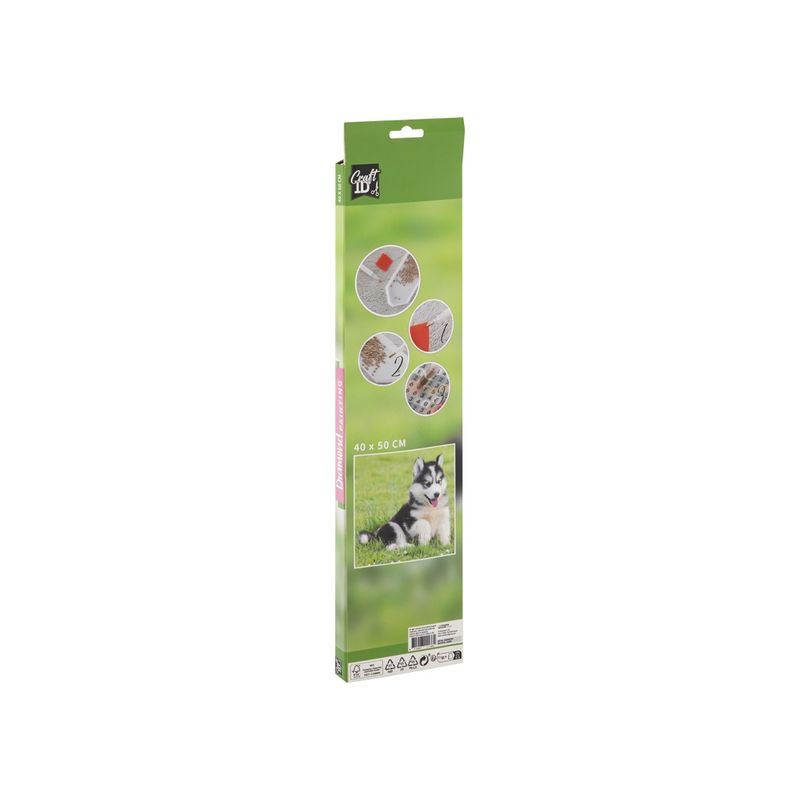 Jucarii, Copii si Bebe - Jucarii si jocuri - Jucarii & jocuri educative - Seturi pictura si desen - Set pictura diamant 40x50 cm cu accesorii Caine - Infinity.ro