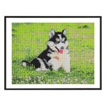 Jucarii, Copii si Bebe - Jucarii si jocuri - Jucarii & jocuri educative - Seturi pictura si desen - Set pictura diamant 40x50 cm cu accesorii Caine - Infinity.ro