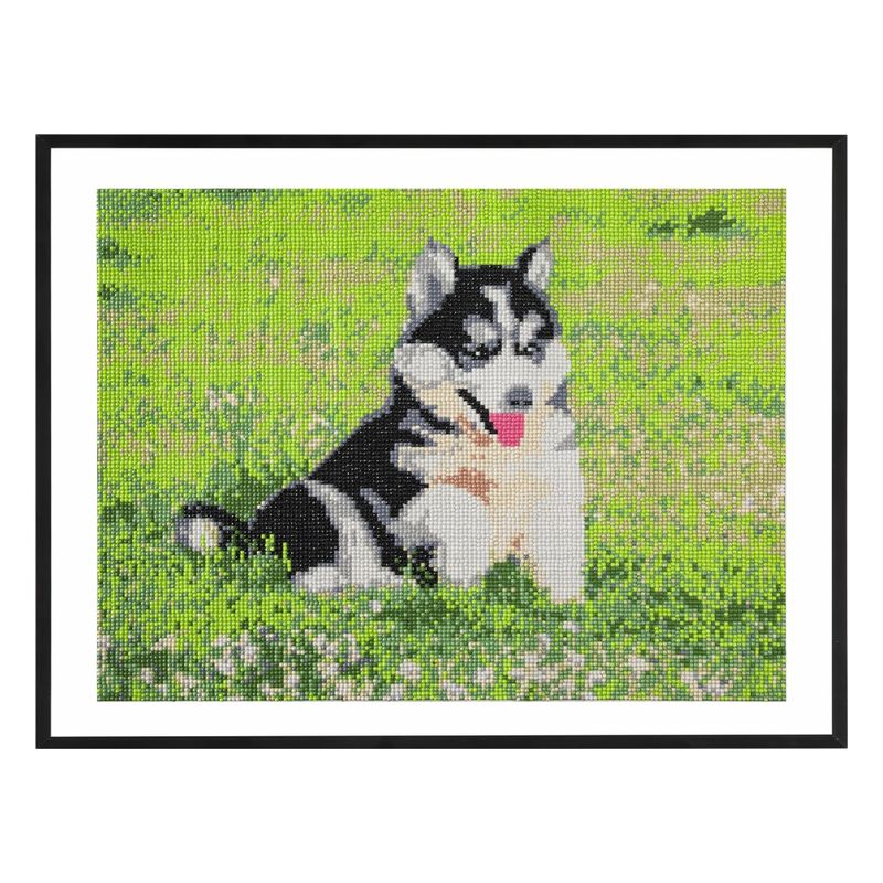 Jucarii, Copii si Bebe - Jucarii si jocuri - Jucarii & jocuri educative - Seturi pictura si desen - Set pictura diamant 40x50 cm cu accesorii Caine - Infinity.ro