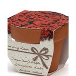 Casa si Gradina - Gradinarit si plante - Plante si ghivece - Plante in ghiveci - Greengift Terracotta Terracotta Burning Love Kit Gradinarit - Infinity.ro