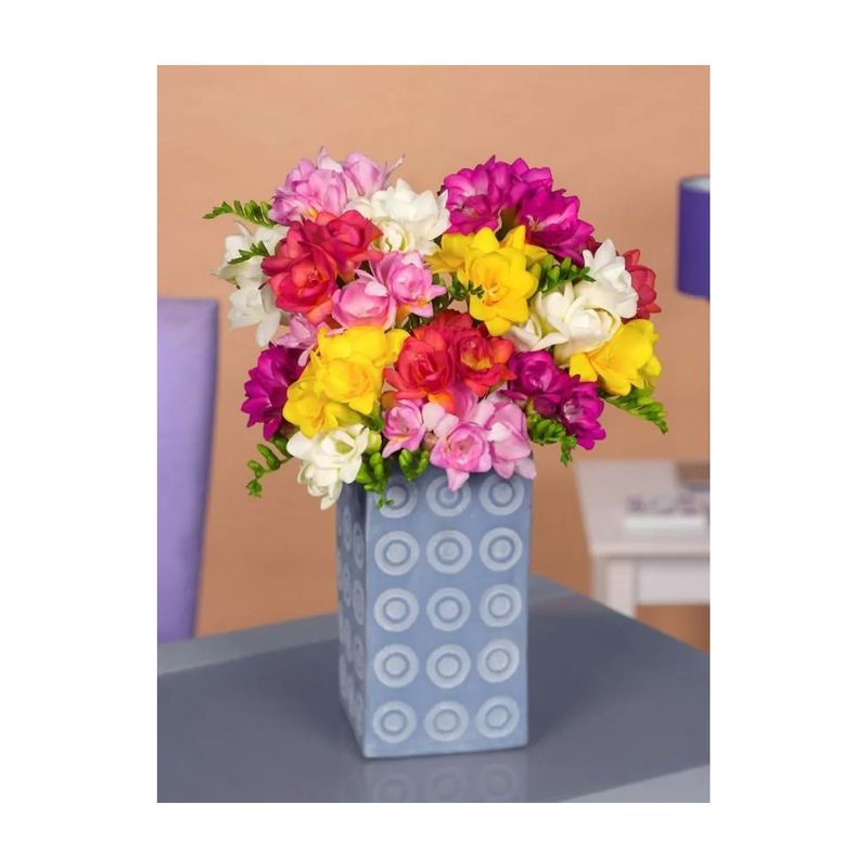 Casa si Gradina - Gradinarit si plante - Plante si ghivece - Bulbi, seminte si rasaduri - Bulbi Freesia Double Mixed, Frezia dubla mix, 10 bulbi, 5/6 N - Infinity.ro