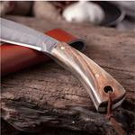 Sport si Outdoor - Camping - Cutite, bricege si accesorii - Cutite si bricege - Cutit Outdoor  19 cm cu Husa, Lama Inox, Cutit Fix pentru Camping si Drumetii - Infinity.ro