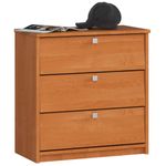 Casa si Gradina - Mobilier - Dulapuri si sifoniere - Dulapuri pantofi - Dulap pantofi MINI cu 3 usi rabatabile, PAL laminat 16 mm, 60x31x62 cm, maro arin - Infinity.ro