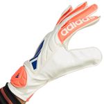 Sport si Outdoor - Echipament Sportiv - Accesorii echipament sportiv - Manusi sport - Manusi portar Adidas Copa Club, 10.5 - Infinity.ro