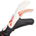 Sport si Outdoor - Echipament Sportiv - Accesorii echipament sportiv - Manusi sport - Manusi portar Adidas Copa Club, marime 9.5 - Infinity.ro