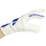 Sport si Outdoor - Echipament Sportiv - Accesorii echipament sportiv - Manusi sport - Manusi portar Adidas Copa Club, 10.5 - Infinity.ro