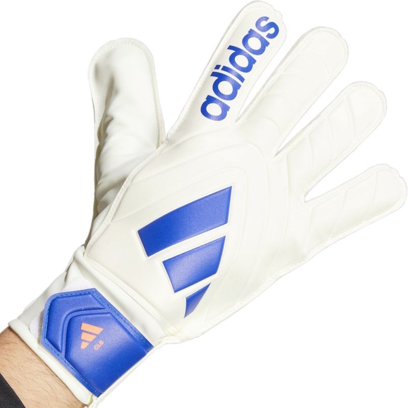 Sport si Outdoor - Echipament Sportiv - Accesorii echipament sportiv - Manusi sport - Manusi portar Adidas Copa Club, 10.5 - Infinity.ro