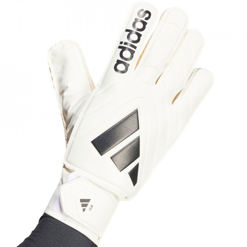 Sport si Outdoor - Echipament Sportiv - Accesorii echipament sportiv - Manusi sport - Manusi portar Adidas Copa Club, 11 - Infinity.ro