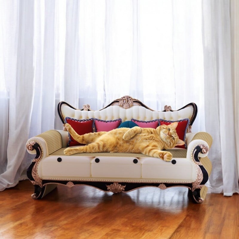 Petshop - Accesorii petshop - Culcusuri si custi - Culcusuri si saltele - Canapea pentru pisici, 2 in 1, pat + ansamblu de zgariat din carton rezistent, 60 x 27 x 33 cm, eCarla, KOT19 - Infinity.ro