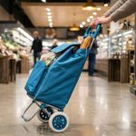 Market - Bacanie - Alte articole bacanie - Carucior de cumparaturi Excellent Houseware, pliabil cu 2 roti, buzunar frontal, albastru, 30L - Infinity.ro