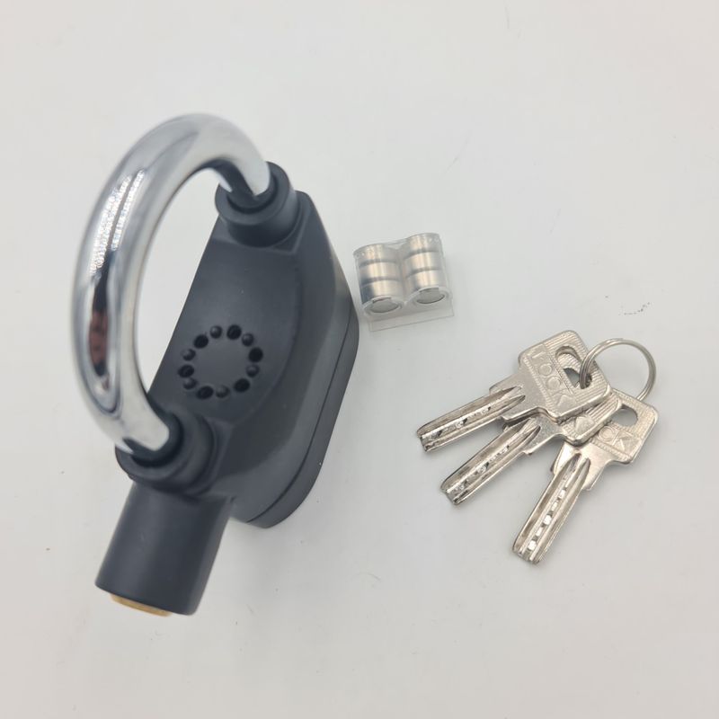 Casa si Gradina - Constructii - Feronerie si accesorii - Lacate - Lacat fabricat din metal masiv, functie alarma anti-furt, 3 chei, baterii rezerva, Dalimag - Infinity.ro