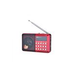 TV, Audio-Video si Foto - Portabile audio - Radio - Radio Compact Model H330BT, cu Display Digital, USB, Slot TF si Difuzor Stereo, 11 x 7 cm - Infinity.ro