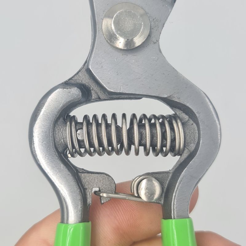 Casa si Gradina - Gradinarit si plante - Unelte gradinarit - Foarfeci gradinarit - Foarfeca pentru taiat vita de vie,cu arc, si sistem de blocare automata, otel inoxidabil - Infinity.ro