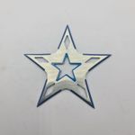 Sport si Outdoor - Camping - Cutite, bricege si accesorii - Cutite si bricege - Stea Ninja Pentru Aruncat la Tinta, Husa, Otel, 5 Colturi, 10 cm - Infinity.ro