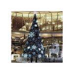 Casa si Gradina - Decoratiuni - Decoratiuni de sezon - Instalatie De Craciun, Lumini Alb, 100 LED, Fir Verde - Infinity.ro