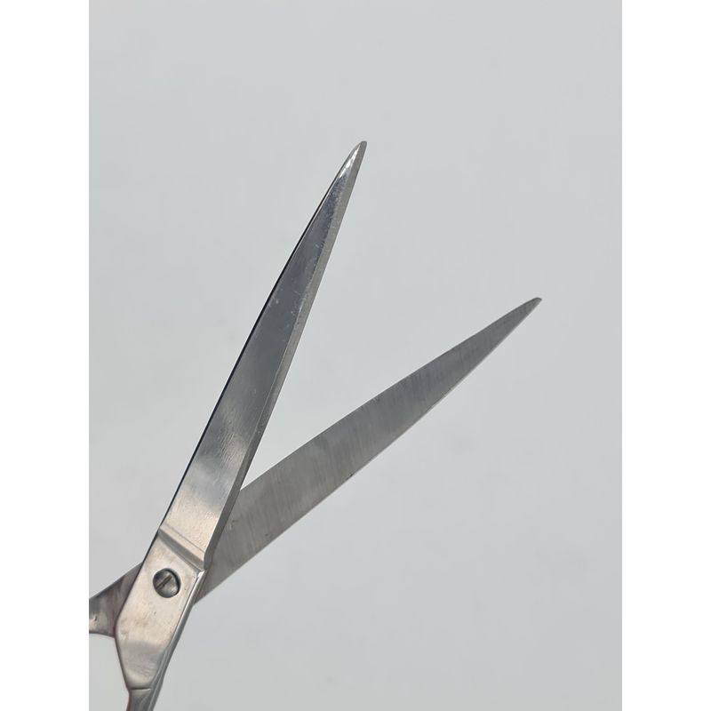 Ingrijire personala si Cosmetice - Ingrijire personala - Ingrijire par - Foarfece de tuns - Foarfeca profesionala tuns par, 200 mm, otel inoxidabil, 85 grame - Infinity.ro