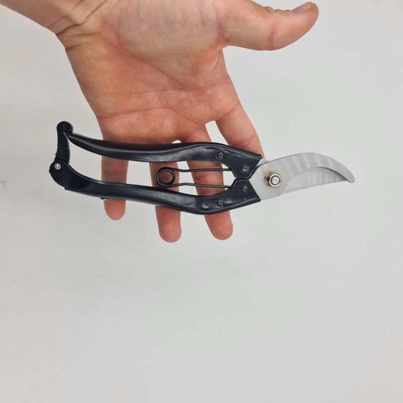 Casa si Gradina - Gradinarit si plante - Unelte gradinarit - Foarfeci gradinarit - Foarfeca pentru taiat vitade vie, sistem de blocare automata, otel inoxidabil - Infinity.ro