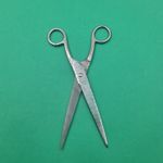 Ingrijire personala si Cosmetice - Ingrijire personala - Ingrijire par - Foarfece de tuns - Foarfeca Profesionala de Tuns, Otel Inoxidabil, Normala, Argintie, 20 cm - Infinity.ro