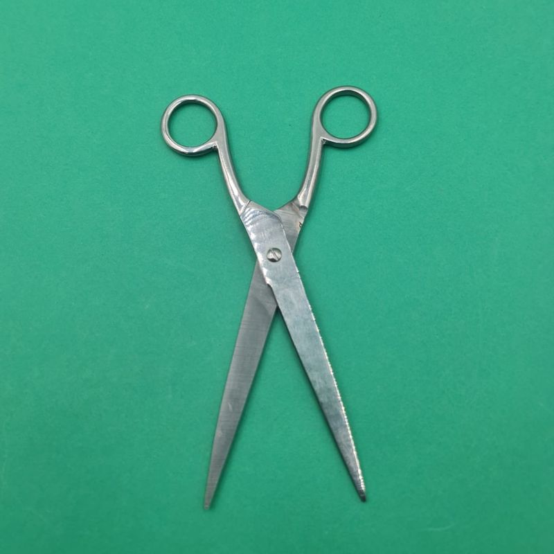 Ingrijire personala si Cosmetice - Ingrijire personala - Ingrijire par - Foarfece de tuns - Foarfeca Profesionala de Tuns, Otel Inoxidabil, Normala, Argintie, 20 cm - Infinity.ro