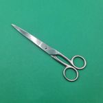 Ingrijire personala si Cosmetice - Ingrijire personala - Ingrijire par - Foarfece de tuns - Foarfeca Profesionala de Tuns, Otel Inoxidabil, Normala, Argintie, 20 cm - Infinity.ro