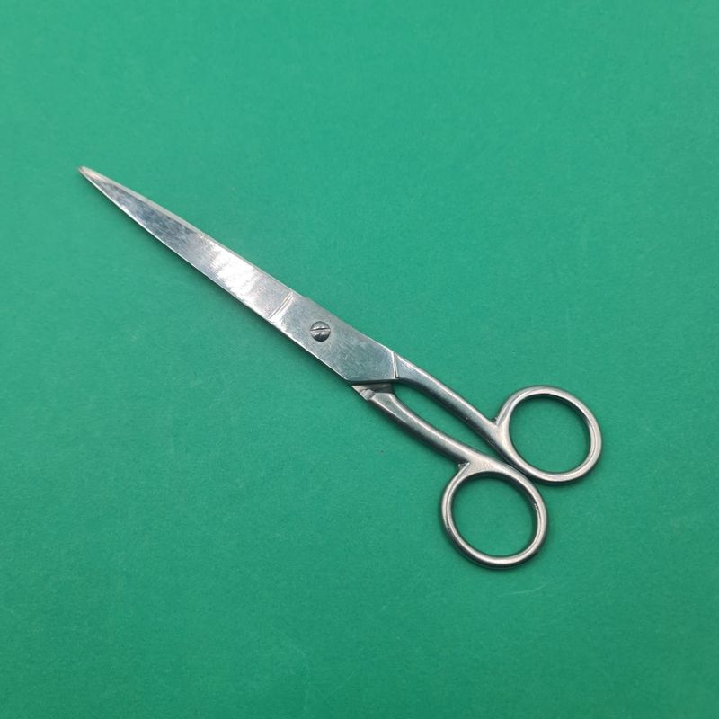 Ingrijire personala si Cosmetice - Ingrijire personala - Ingrijire par - Foarfece de tuns - Foarfeca Profesionala de Tuns, Otel Inoxidabil, Normala, Argintie, 20 cm - Infinity.ro