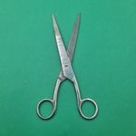 Ingrijire personala si Cosmetice - Ingrijire personala - Ingrijire par - Foarfece de tuns - Foarfeca Profesionala de Tuns, Otel Inoxidabil, Normala, Argintie, 20 cm - Infinity.ro