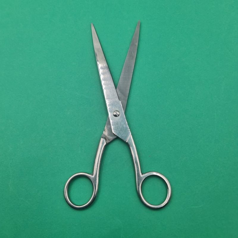 Ingrijire personala si Cosmetice - Ingrijire personala - Ingrijire par - Foarfece de tuns - Foarfeca Profesionala de Tuns, Otel Inoxidabil, Normala, Argintie, 20 cm - Infinity.ro