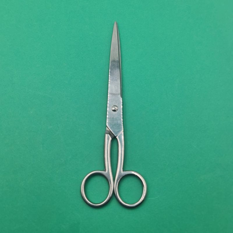 Ingrijire personala si Cosmetice - Ingrijire personala - Ingrijire par - Foarfece de tuns - Foarfeca Profesionala de Tuns, Otel Inoxidabil, Normala, Argintie, 20 cm - Infinity.ro