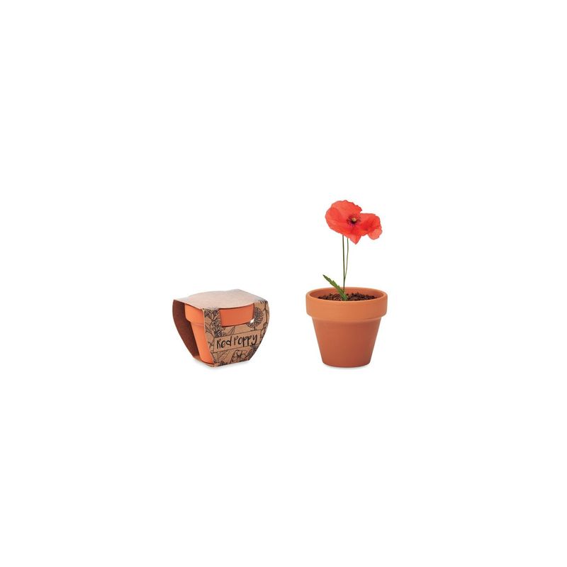 Casa si Gradina - Gradinarit si plante - Plante si ghivece - Plante in ghiveci - Floare de mac, ghiveci ceramica si seminte de plantat - Infinity.ro