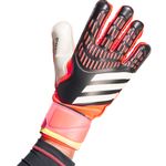Sport si Outdoor - Echipament Sportiv - Accesorii echipament sportiv - Manusi sport - Manusi portar Adidas Predator Match, 9.5 - Infinity.ro