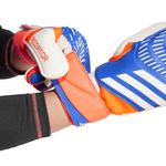 Sport si Outdoor - Echipament Sportiv - Accesorii echipament sportiv - Manusi sport - Manusi portar Adidas Predator Match, 10 - Infinity.ro