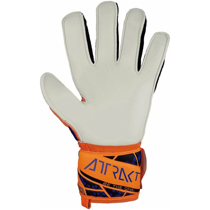 Sport si Outdoor - Echipament Sportiv - Accesorii echipament sportiv - Manusi sport - Manusi portar Reusch Attrakt Solid, 9.5 - Infinity.ro