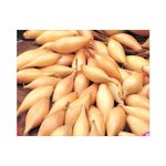 Casa si Gradina - Gradinarit si plante - Plante si ghivece - Bulbi, seminte si rasaduri - Bulbi Ceapa/Arpagic galben, Sturon 14/21mm, 1kg - Infinity.ro