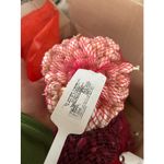 Casa si Gradina - Gradinarit si plante - Plante si ghivece - Bulbi, seminte si rasaduri - Arpagic Ceapa Alb, Snowball, 8/21mm, 0.500kg - Infinity.ro