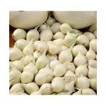 Casa si Gradina - Gradinarit si plante - Plante si ghivece - Bulbi, seminte si rasaduri - Arpagic Ceapa Alb, Snowball, 8/21mm, 0.500kg - Infinity.ro