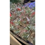 Casa si Gradina - Gradinarit si plante - Plante si ghivece - Plante in ghiveci - Terariu mic - 10cm din sticla, 1 planta aeriena Tillandsia - Infinity.ro